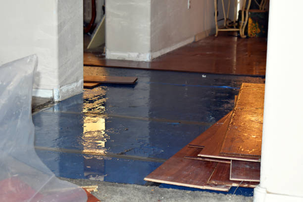 Professional Sewage Cleanup technician working in Andrews, TX
